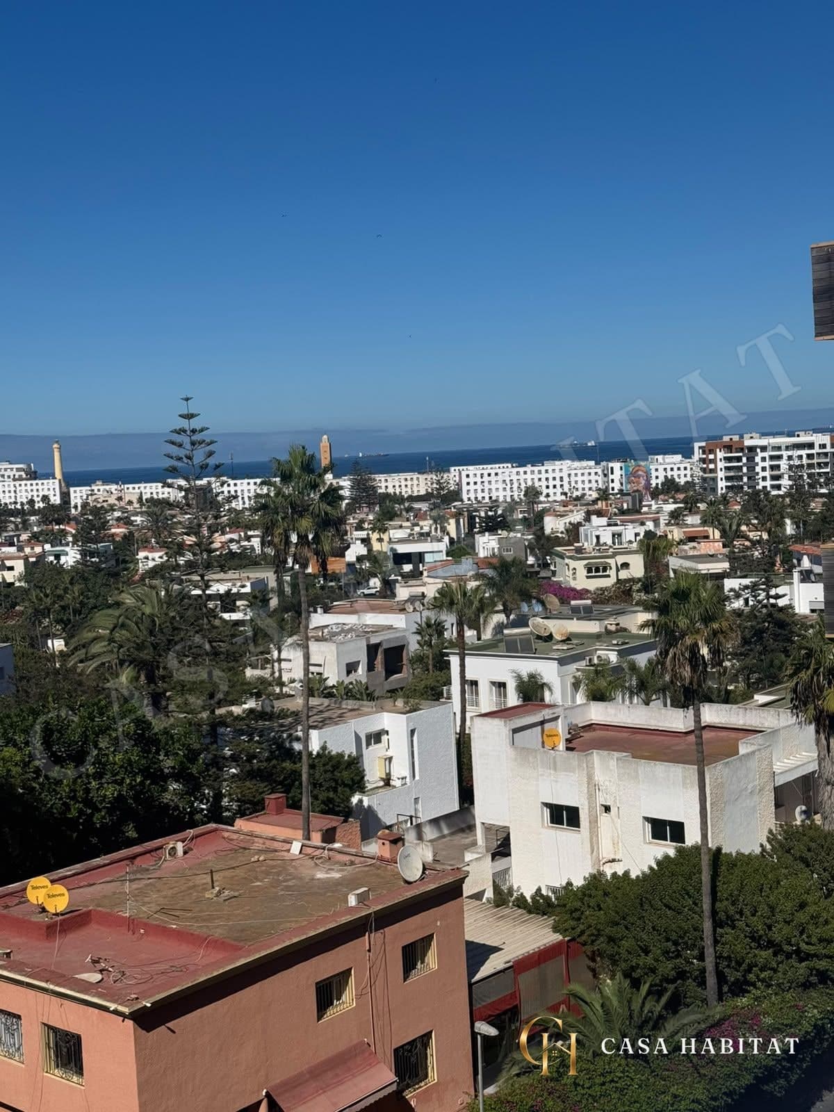 Vue sur les toits blancs et palmiers depuis un balcon