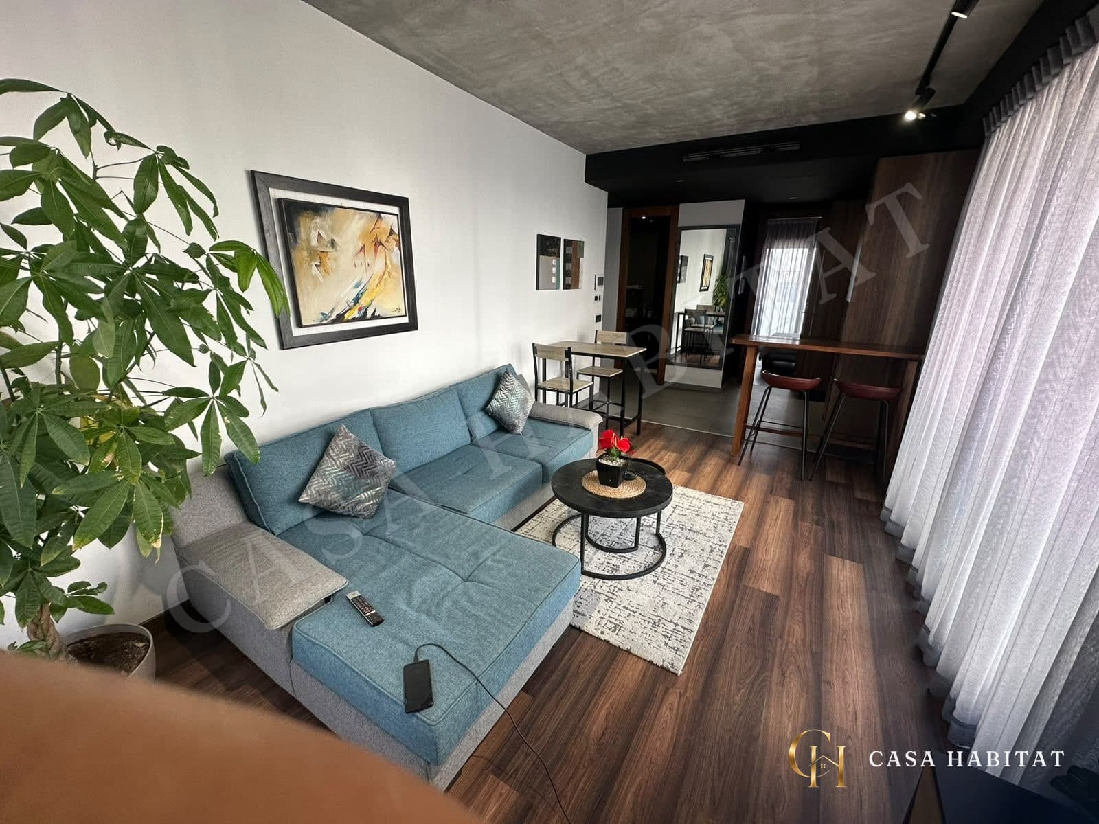 Salon avec canapé bleu, plante et rideaux translucides