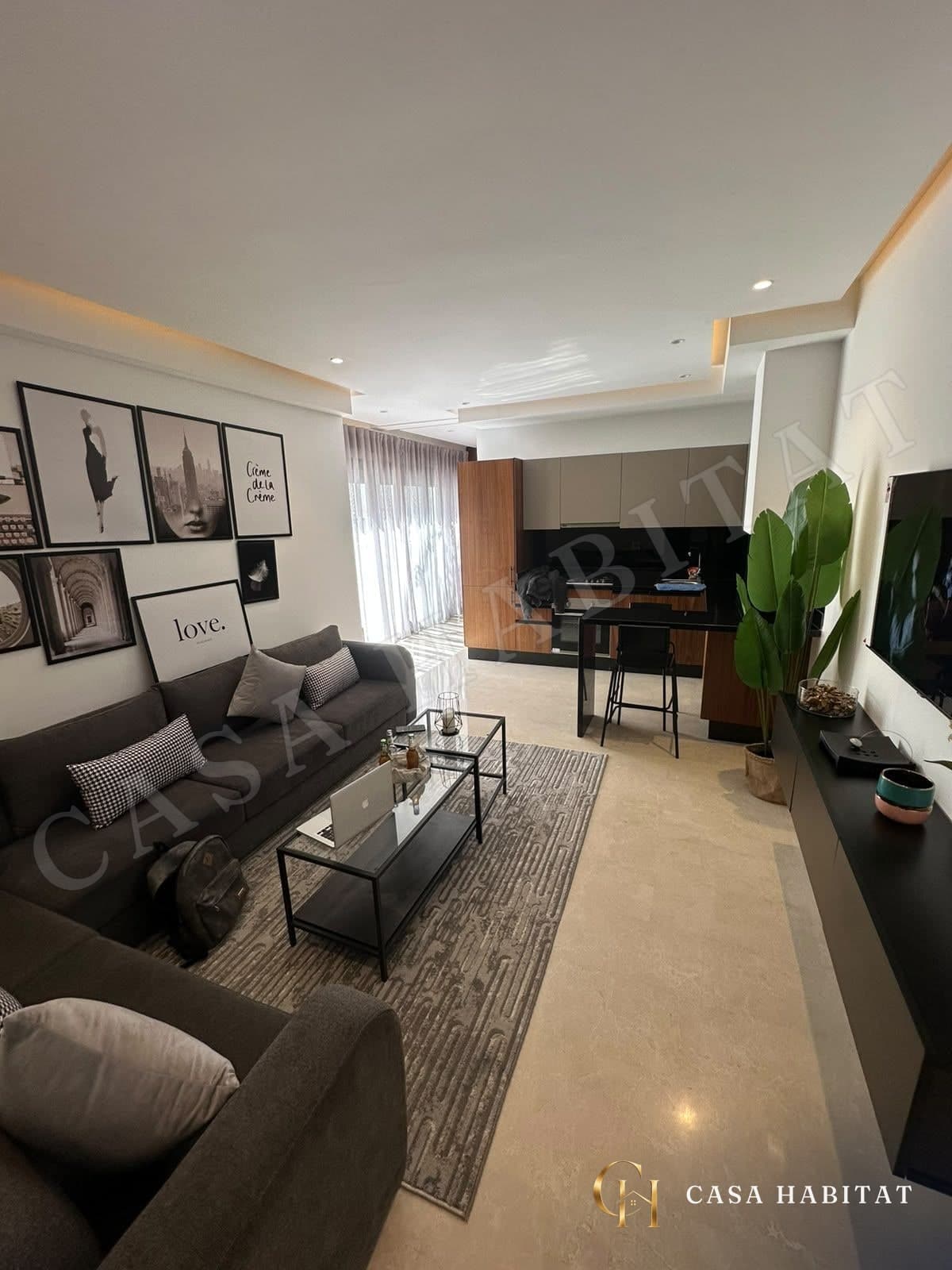 Salon avec canapé gris, tapis gris et meuble TV noir