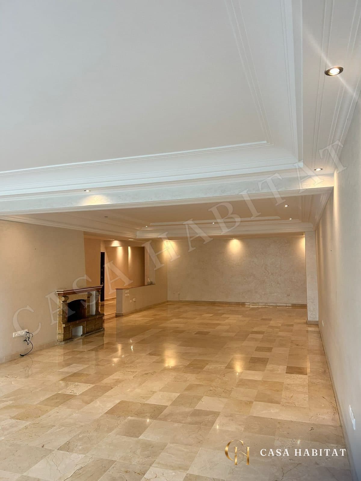 Salon vide en marbre avec cheminée et plafond éclairé