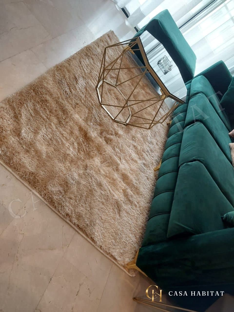Tapis beige en poils longs près d'un canapé vert