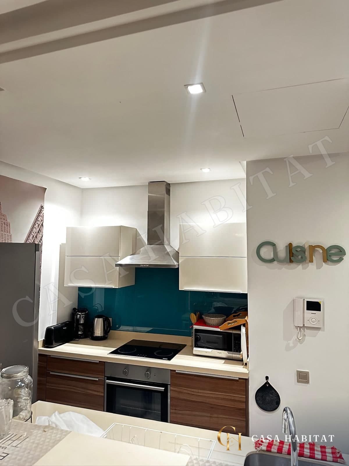 Cuisine avec plaque de cuisson, four et hotte inox
