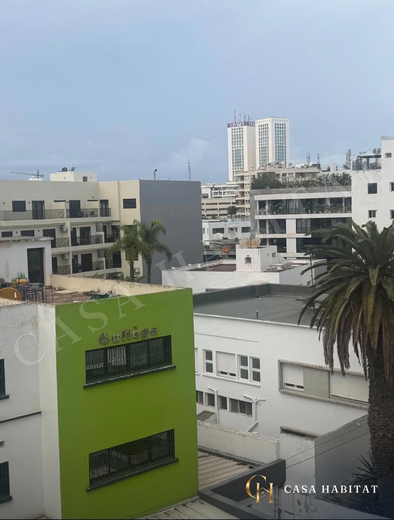Vue depuis fenêtre sur immeubles blancs, bâtiment vert et palmier